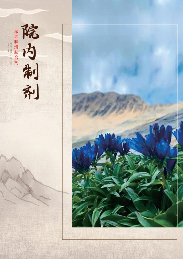 华景汉方-为健康而生，中药制造，五行通窍雾化器